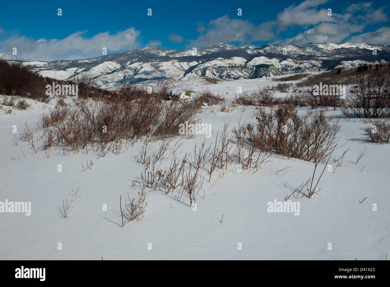Winter view of Pass Creek Ranch, Colorado. Stock Photo