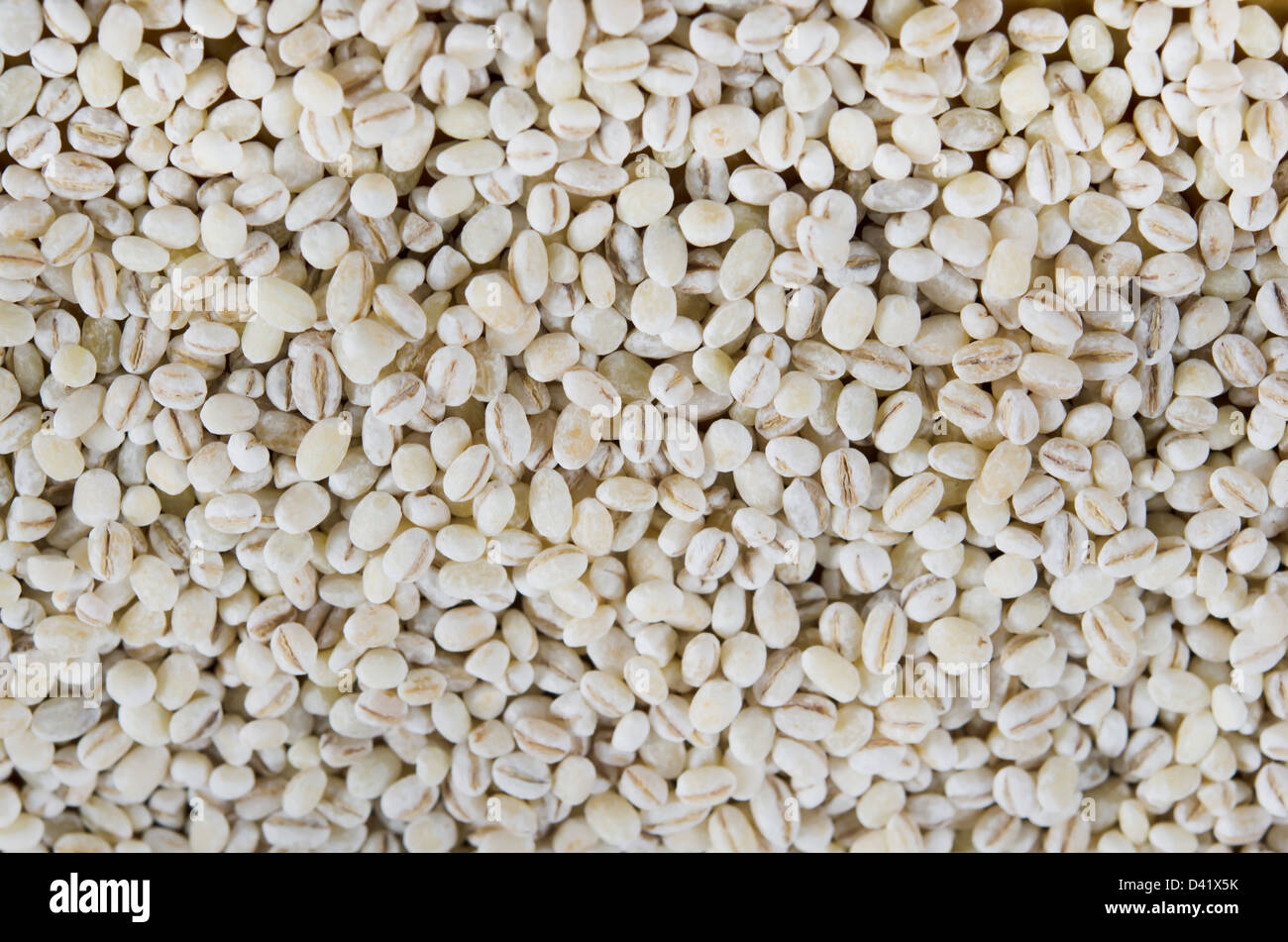 Pearl barley texture background full frame Stock Photo - Alamy