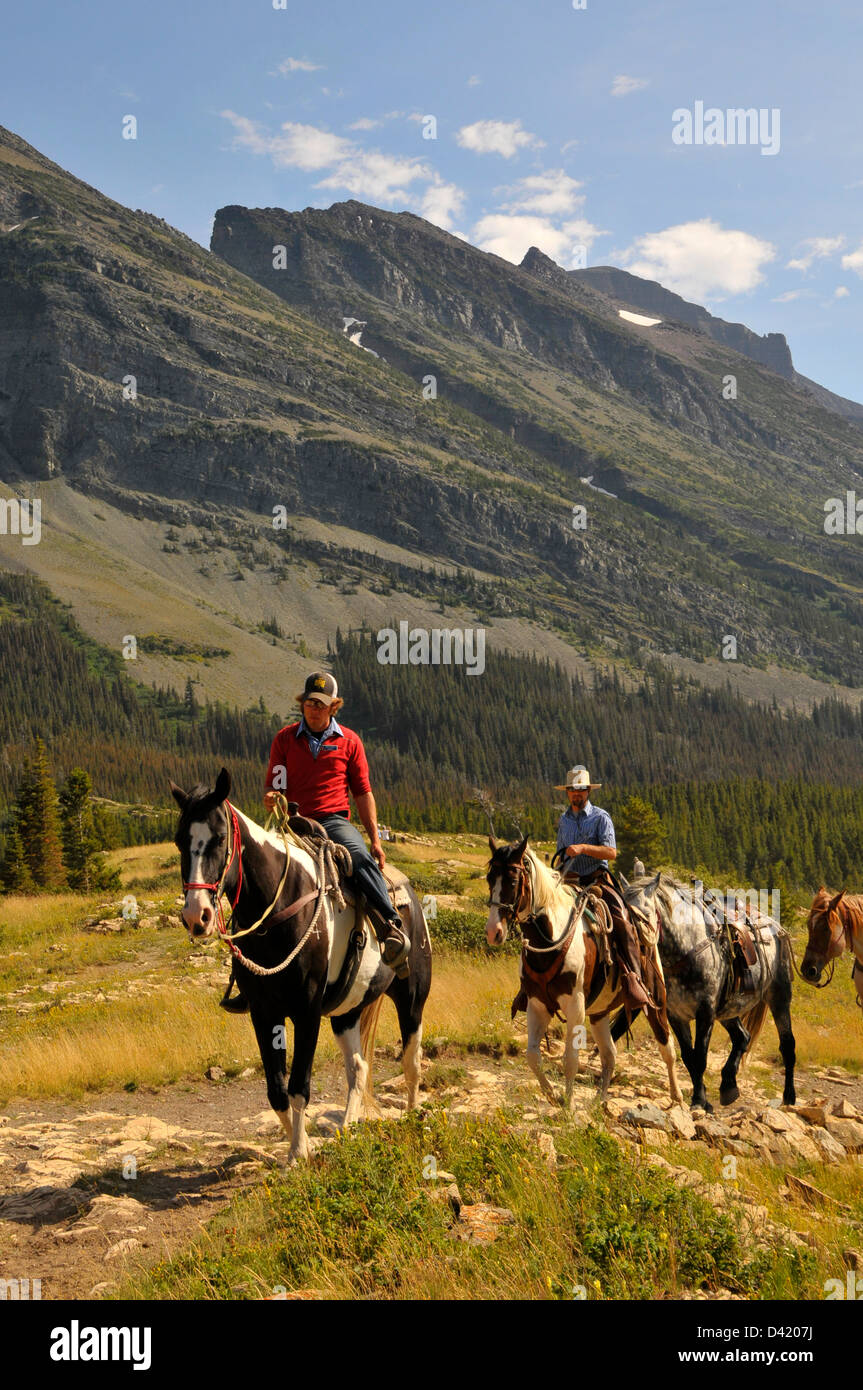 Horseback Riding Glacier National Park Montana MT US Stock Photo Alamy