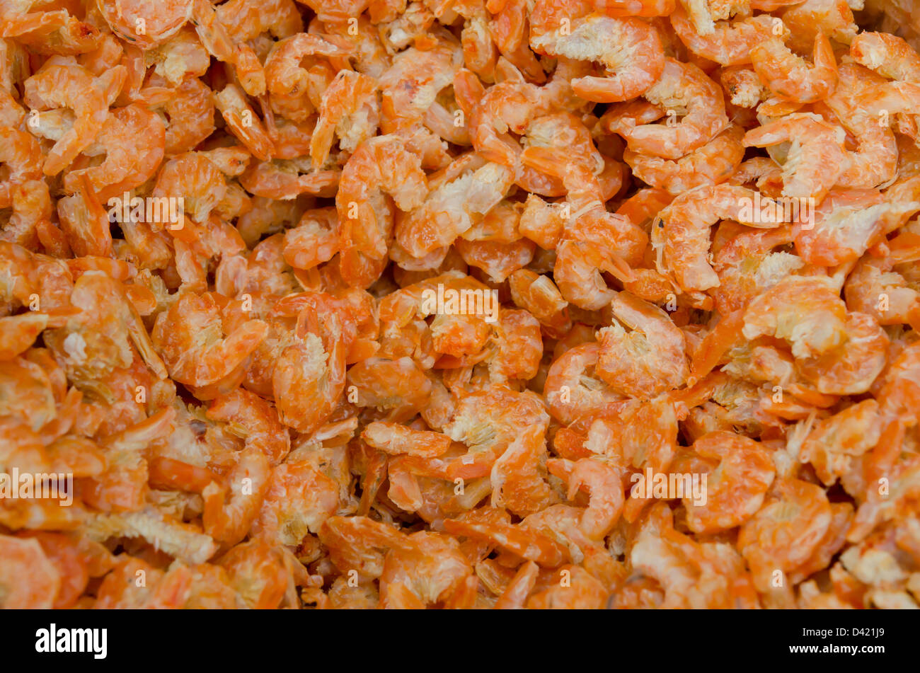 close up dried shrimp full background Stock Photo