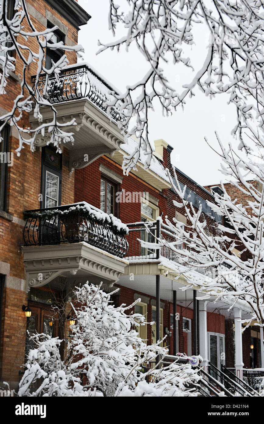 Houses of Outremont covered in snow in Winter Montreal Stock