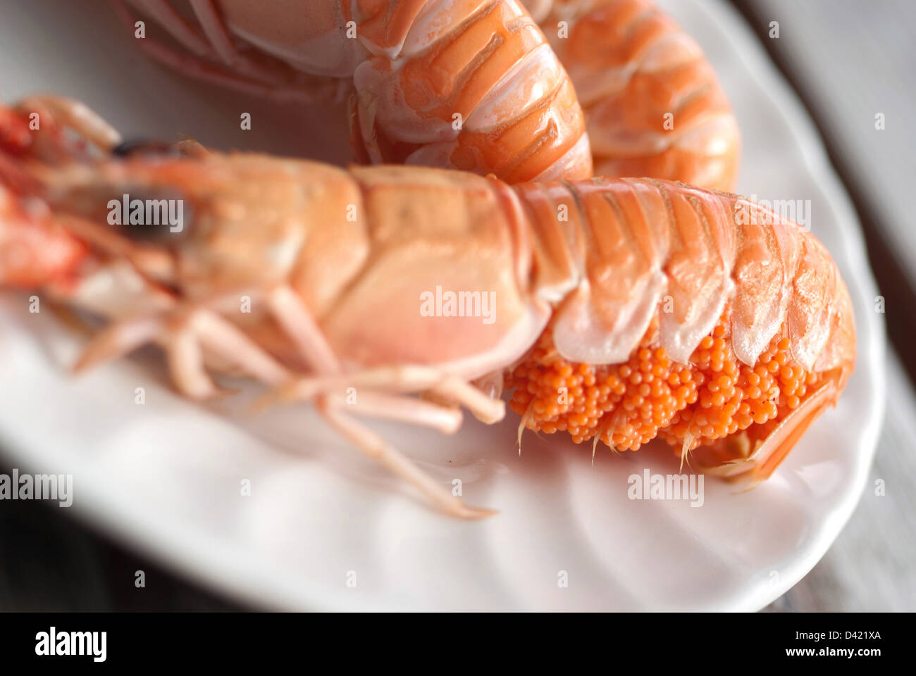 Dublin Bay prawns with roe Stock Photo Alamy
