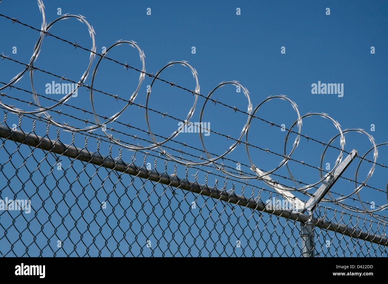 Fence with razor wire Stock Photo