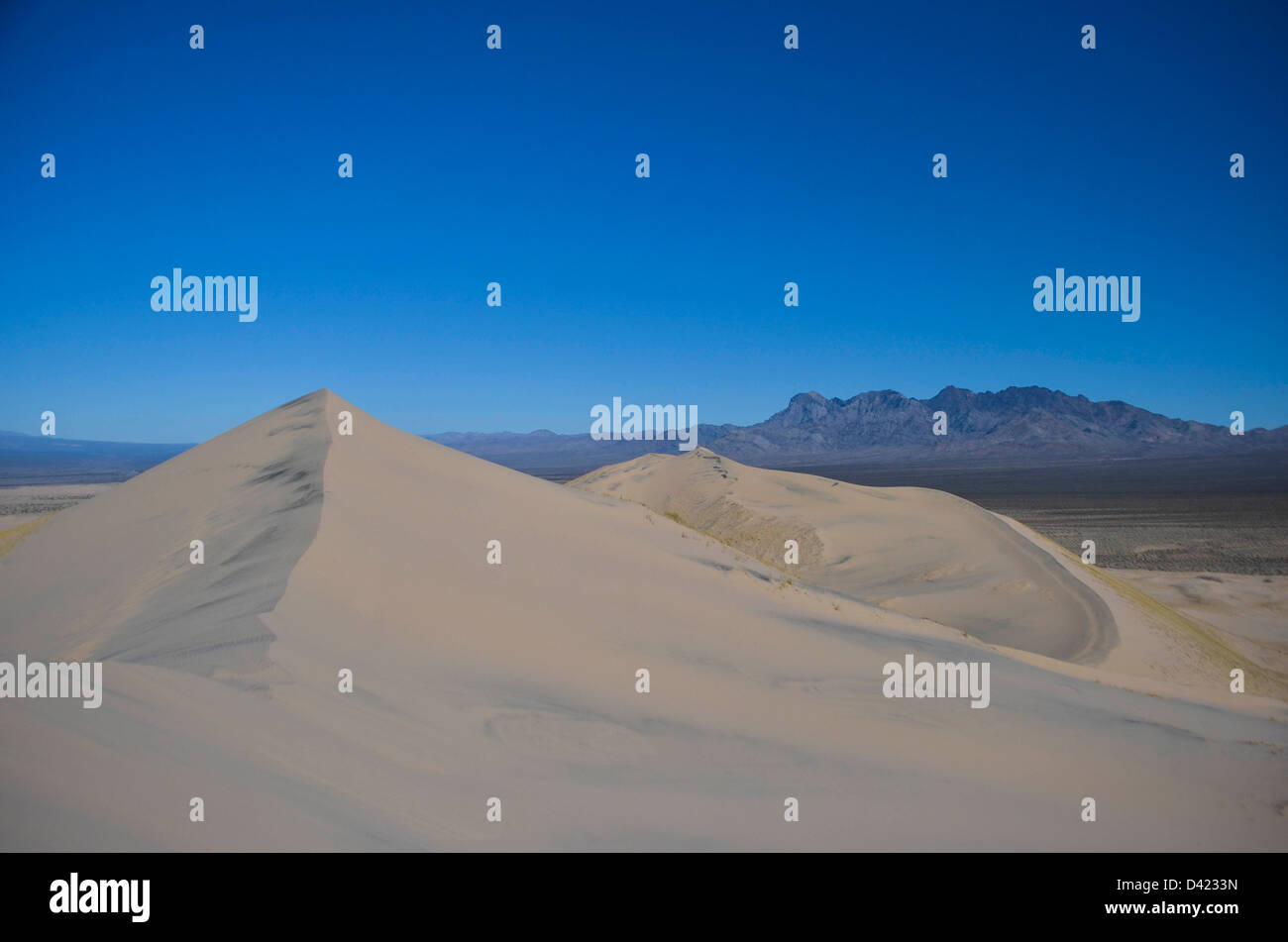 kelso dunes Stock Photo
