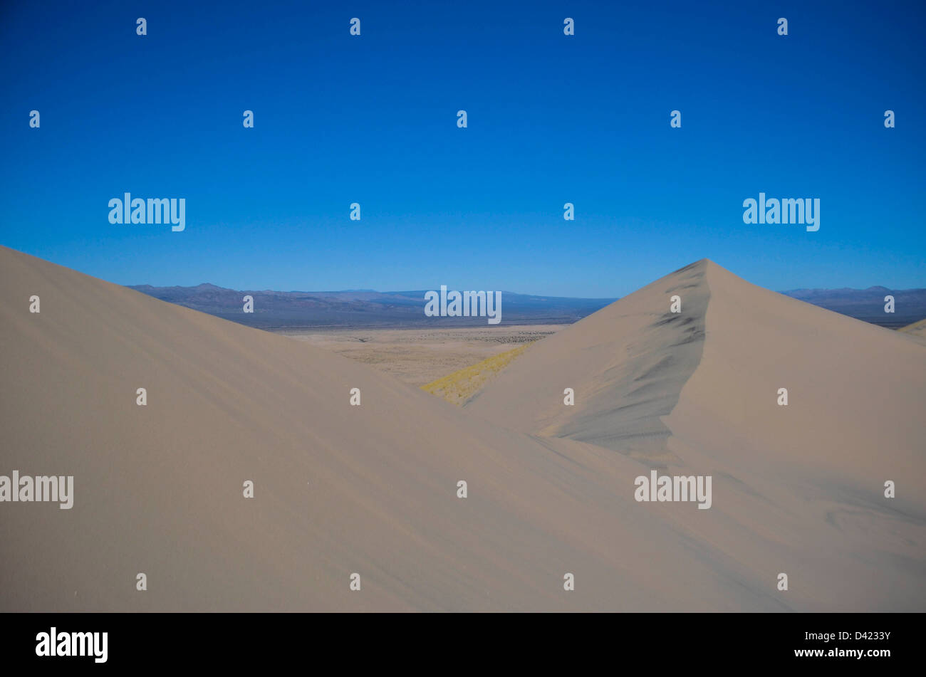 kelso dunes Stock Photo