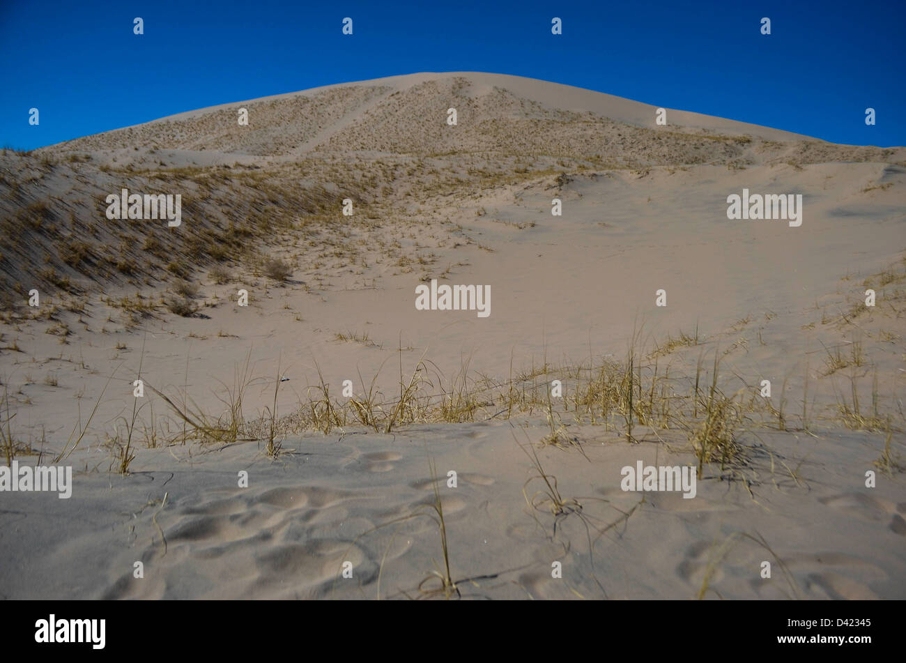 kelso dunes Stock Photo
