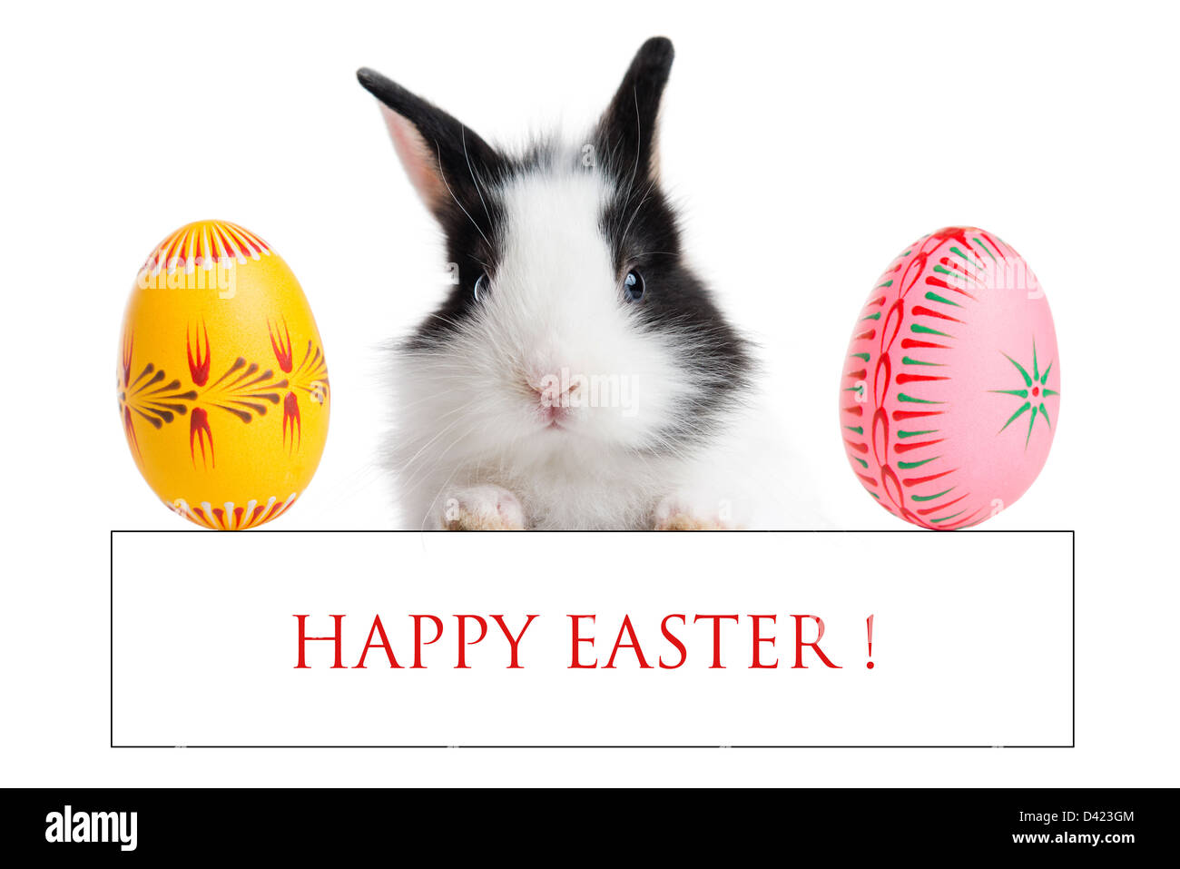 Easter greeting card with - rabbit standing on card with easter eggs, isolated on white background Stock Photo