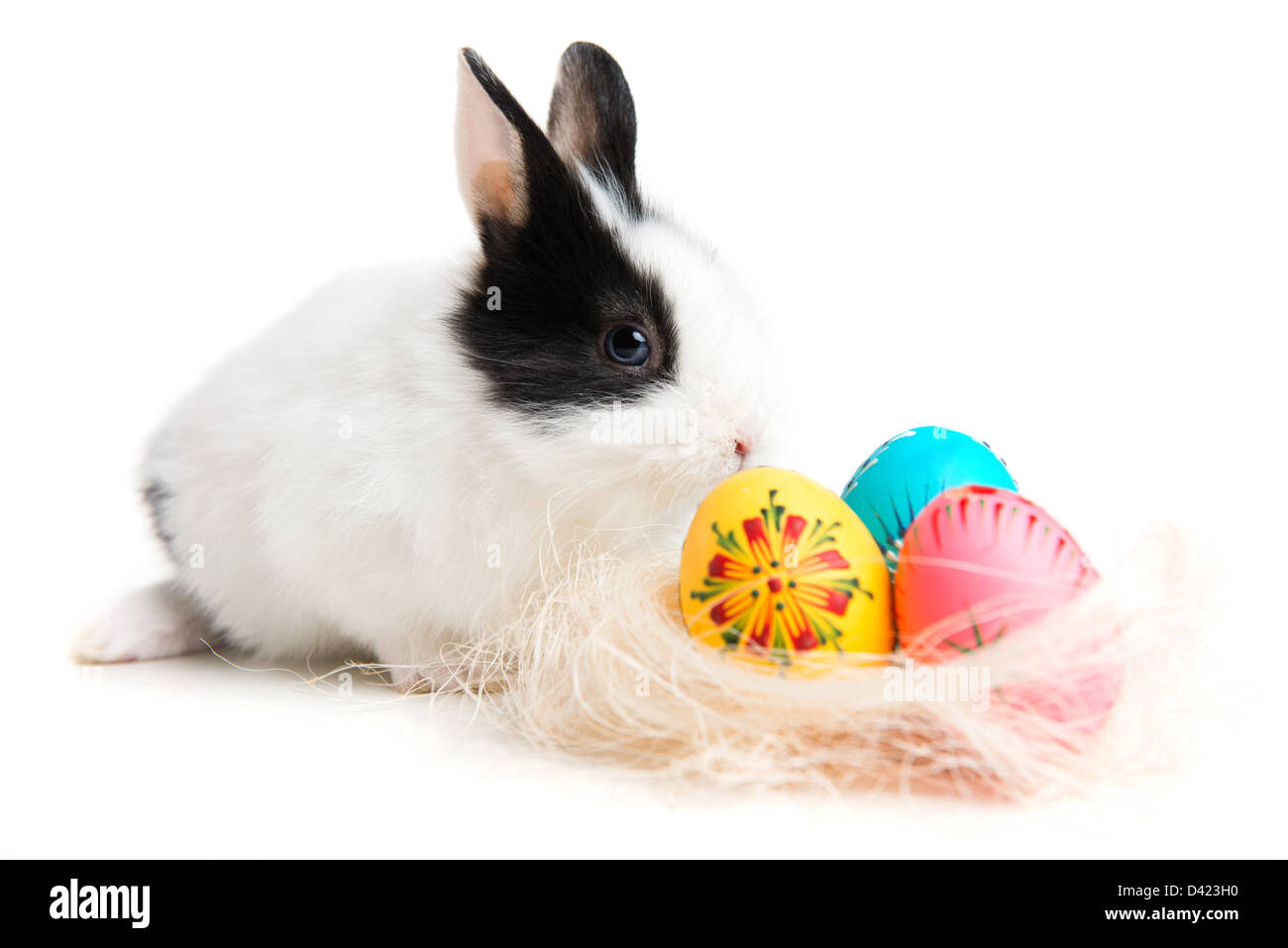 Easter bunny and eggs in nest, isolated on white background Stock Photo