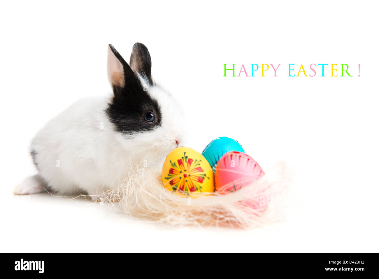 Easter greeting card with easter bunny and eggs in nest, isolated on white background Stock Photo
