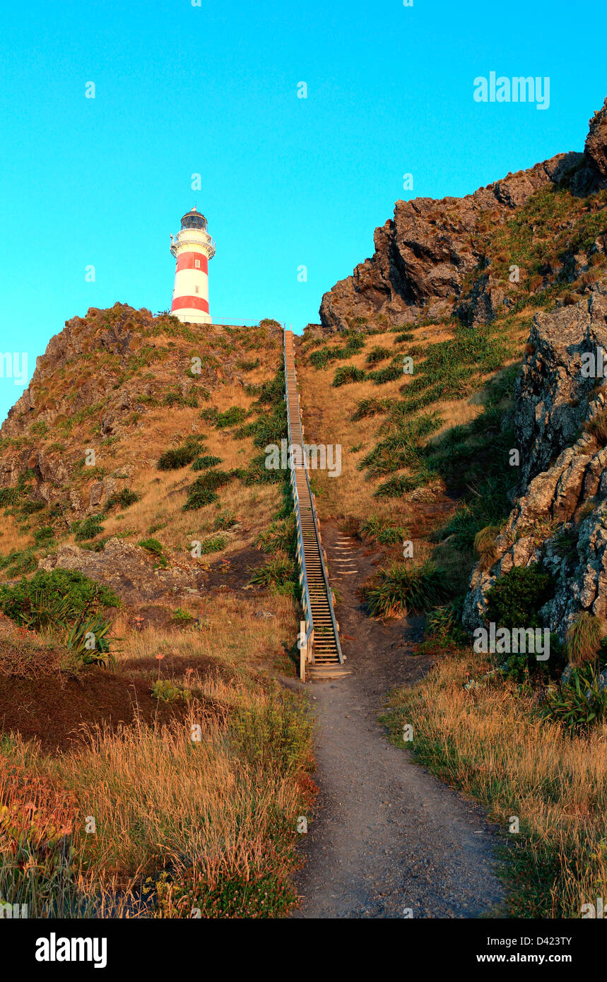 Steep wooden staircase leading to Cape Palliser lighthouse in south Wairarapa Stock Photo