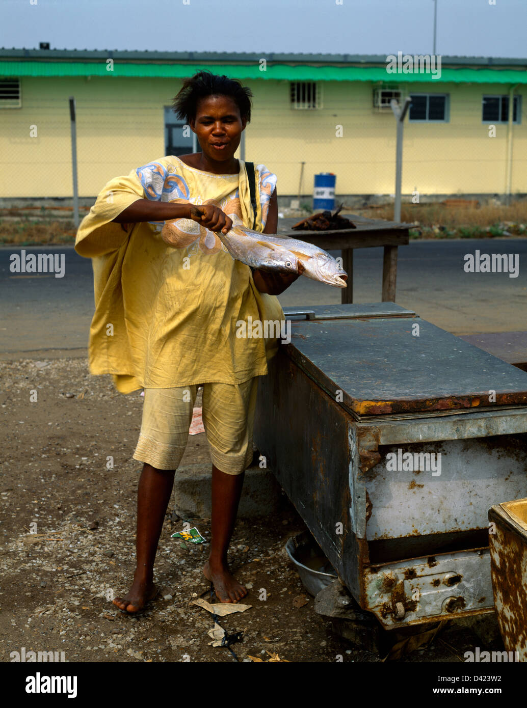 Cameroon Douala Fish Sellers At The Fish Market By Oil Base Stock Photo