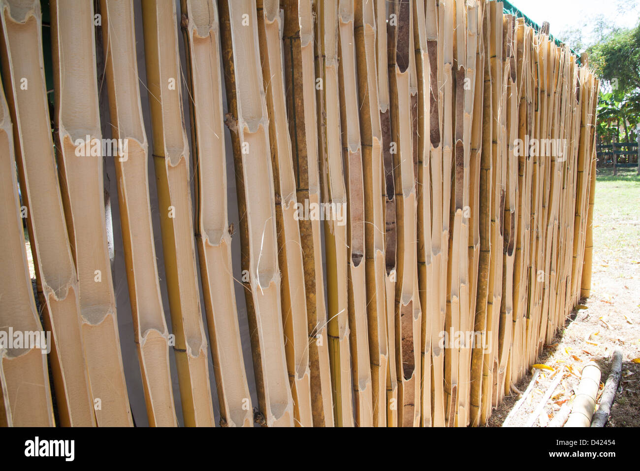 Open faced bamboo wall / fence. Stock Photo