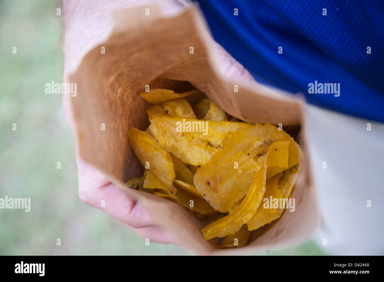 Bag full of fried plantain chips. Stock Photo