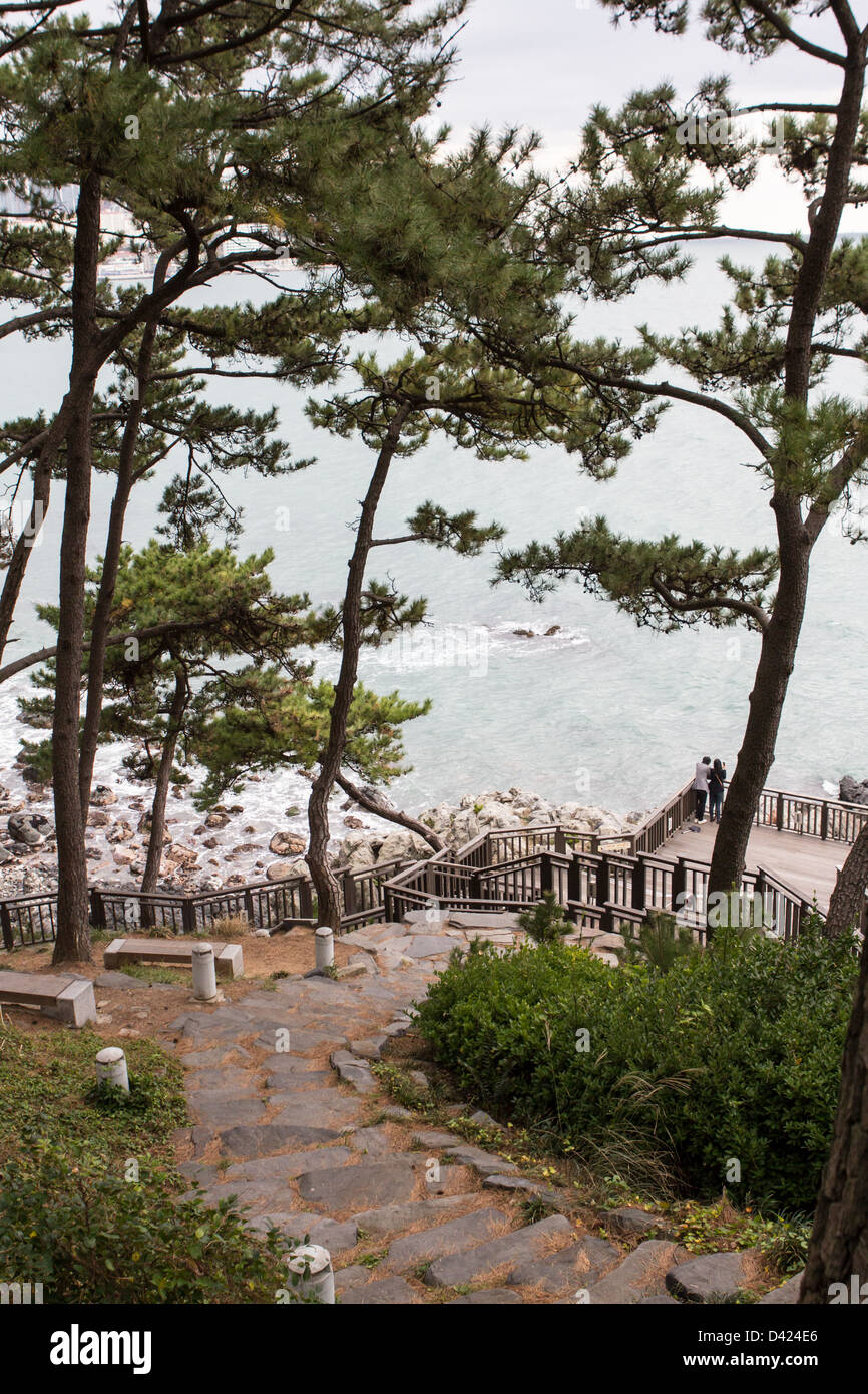 Cliffs in Busan, South Korea Stock Photo