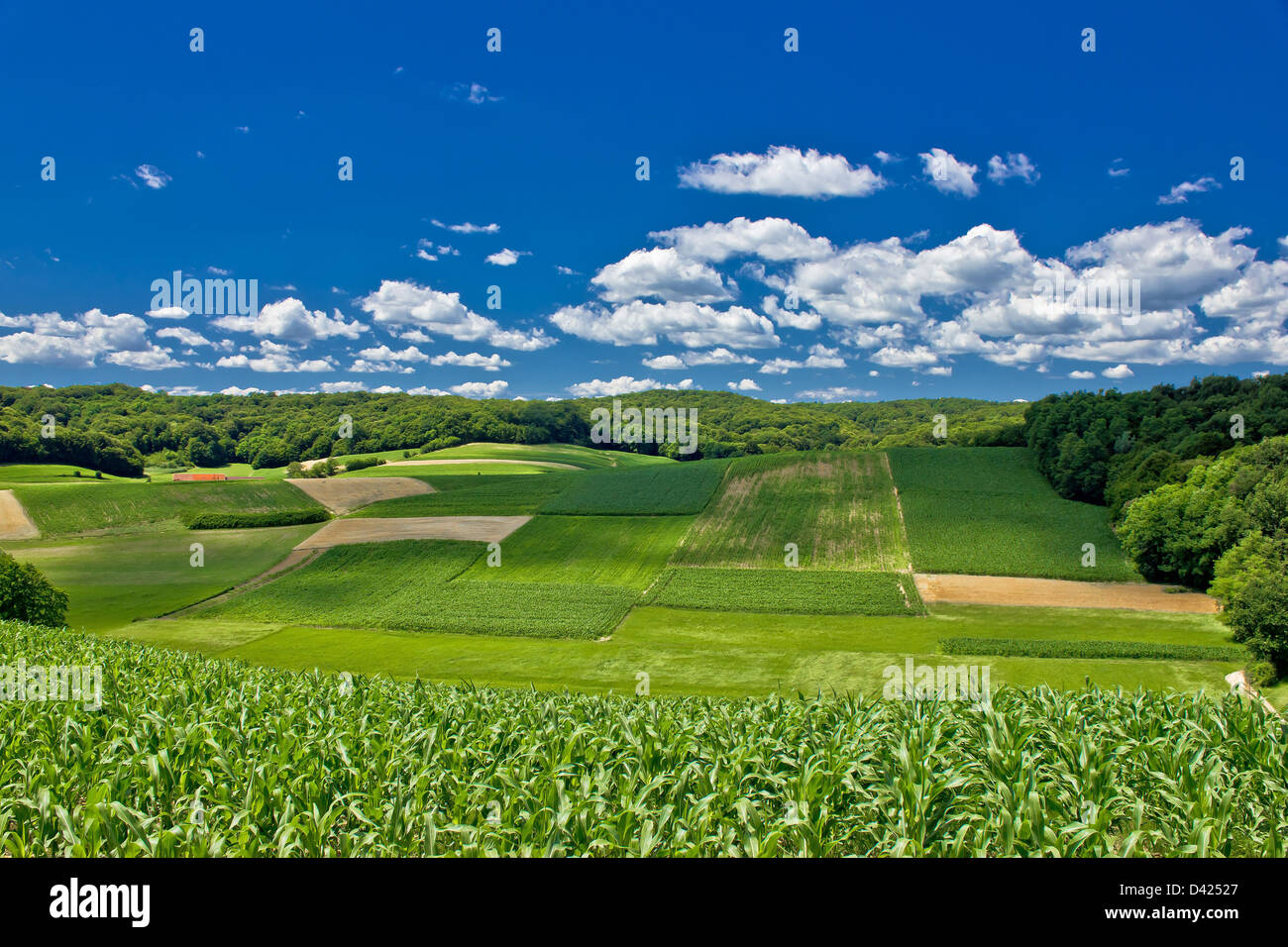 Beautiful landscape agricultural fields hi-res stock photography and ...