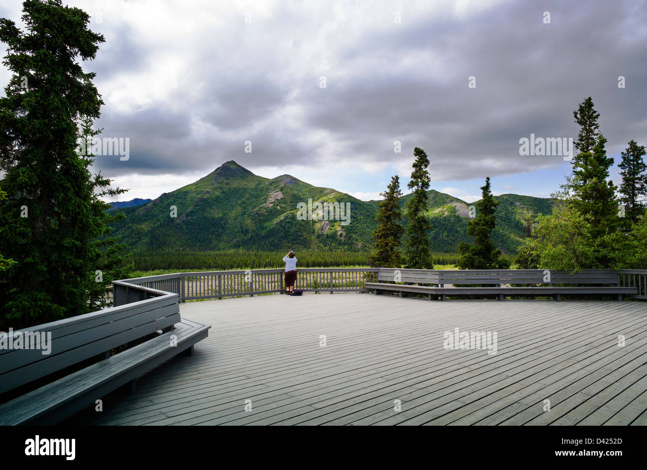 Park visitors looking out over the Savage River, Primrose Rest Area, Denali National Park, Alaska, USA Stock Photo