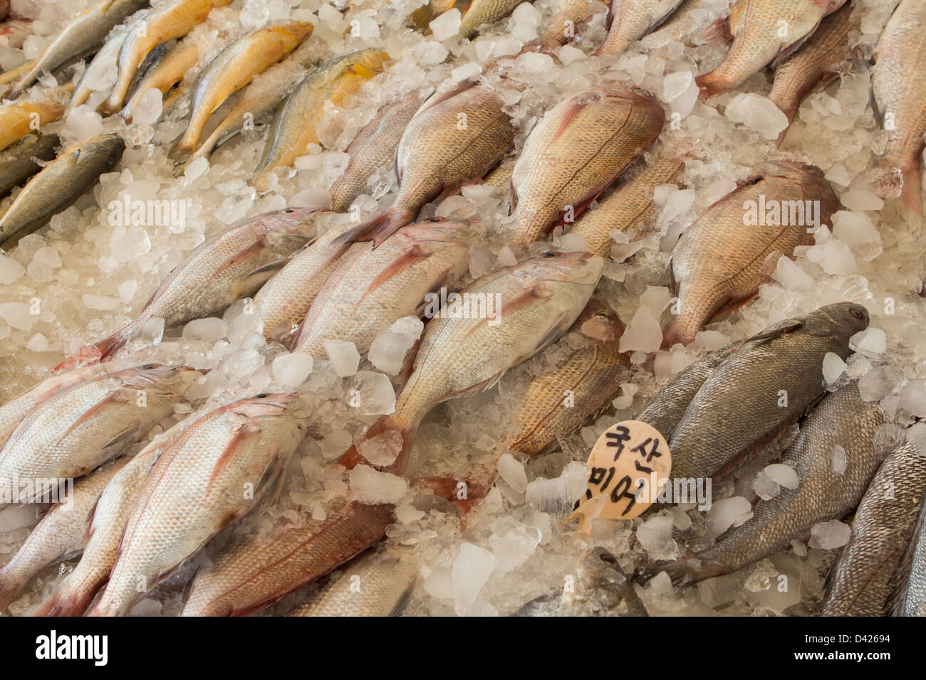 Fresh fish at Jagalchi fish market, Busan, South Korea Stock Photo