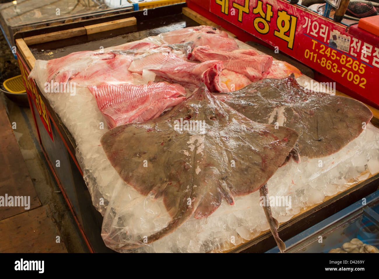 Rays at Jagalchi fish market, Busan, South Korea Stock Photo