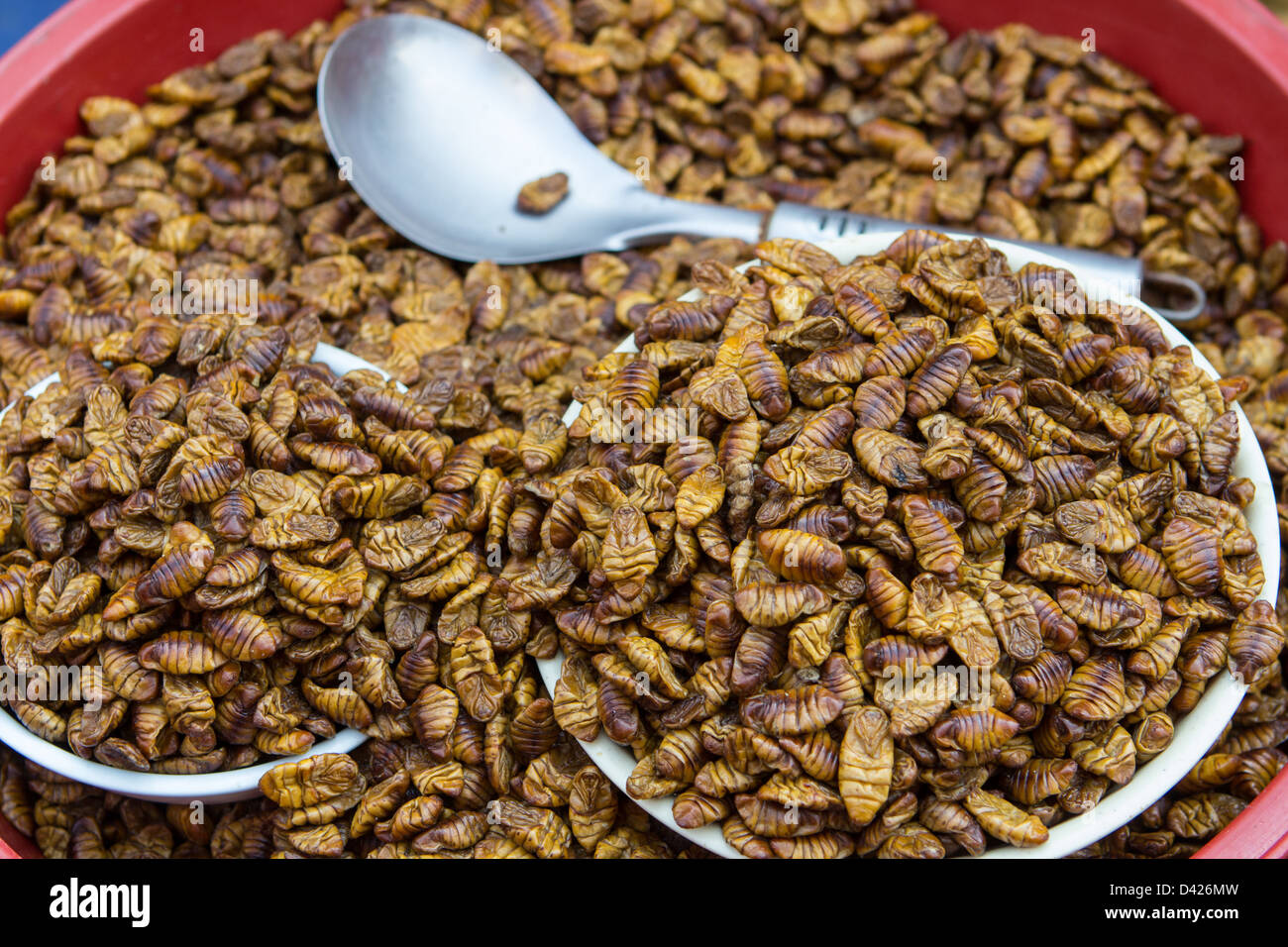 Silkworm larvae in honey at Jagalchi fish market, Busan, South Korea Stock Photo