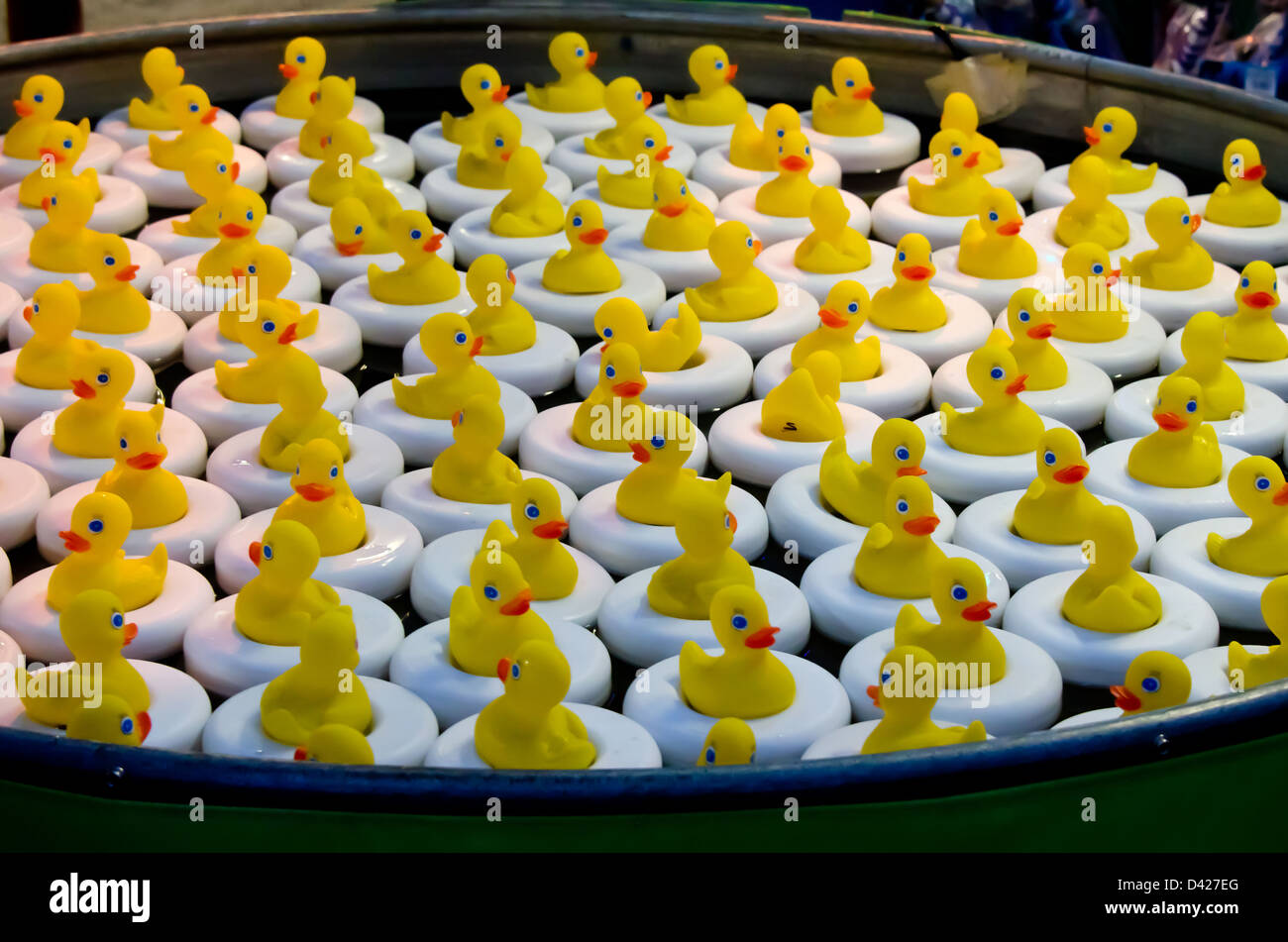 Yellow ducks floating in a carnival game at the Bangor State Fair. Stock Photo