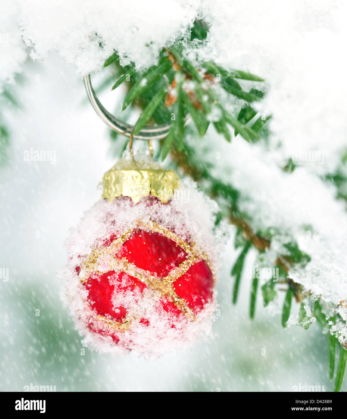 Red Christmas bauble hanging outdoors in a snowy Xmas tree Stock Photo