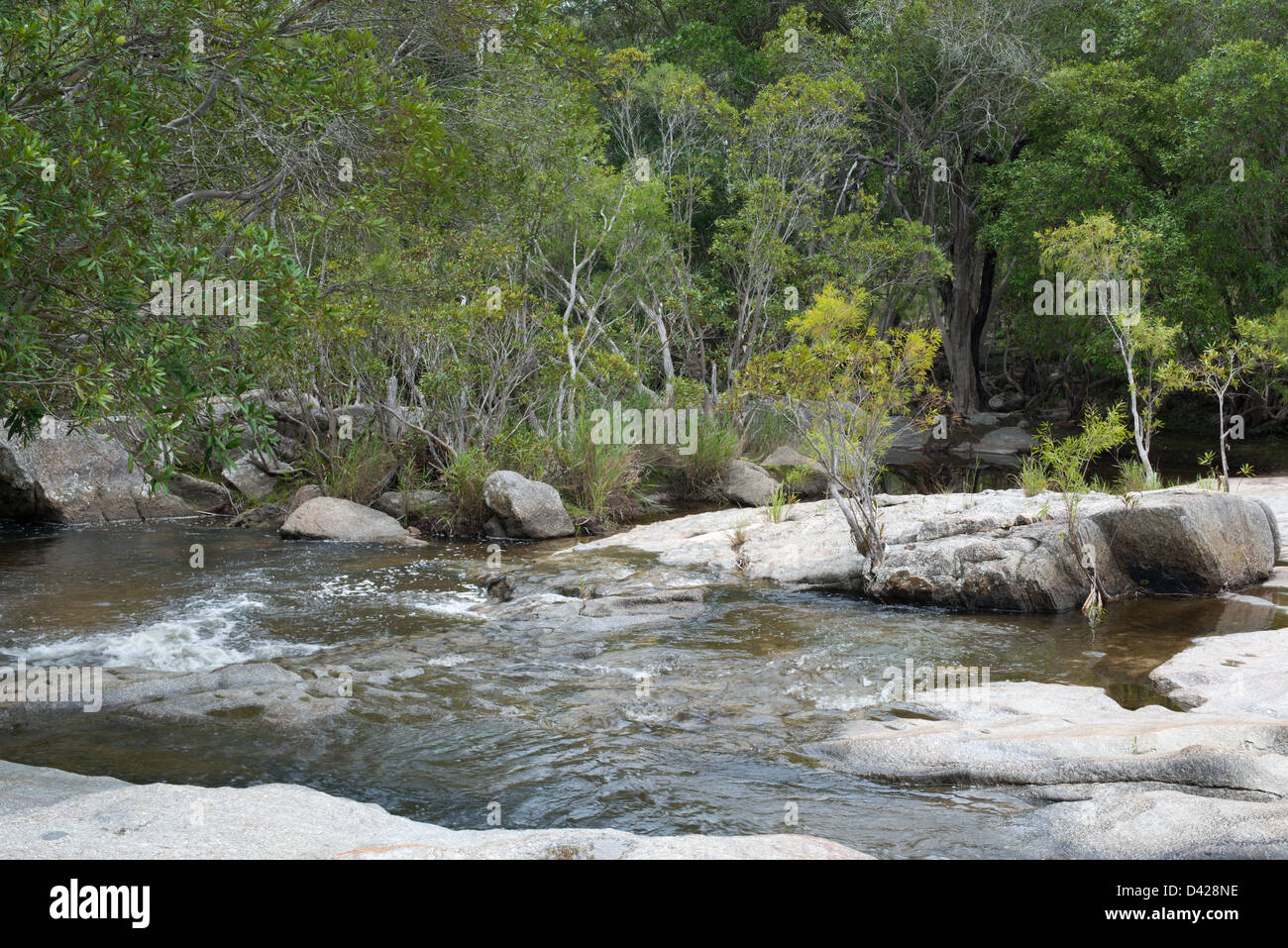 Davies Creek near Mareeba, Far North Queensland, Australia Stock Photo