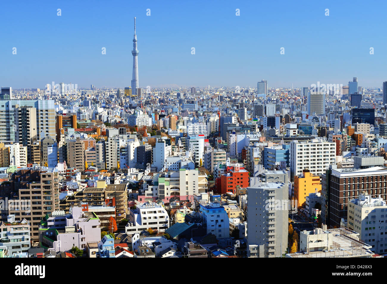 The Tokyo Sky Tree towers above the dense skyline of Tokyo, Japan. Stock Photo