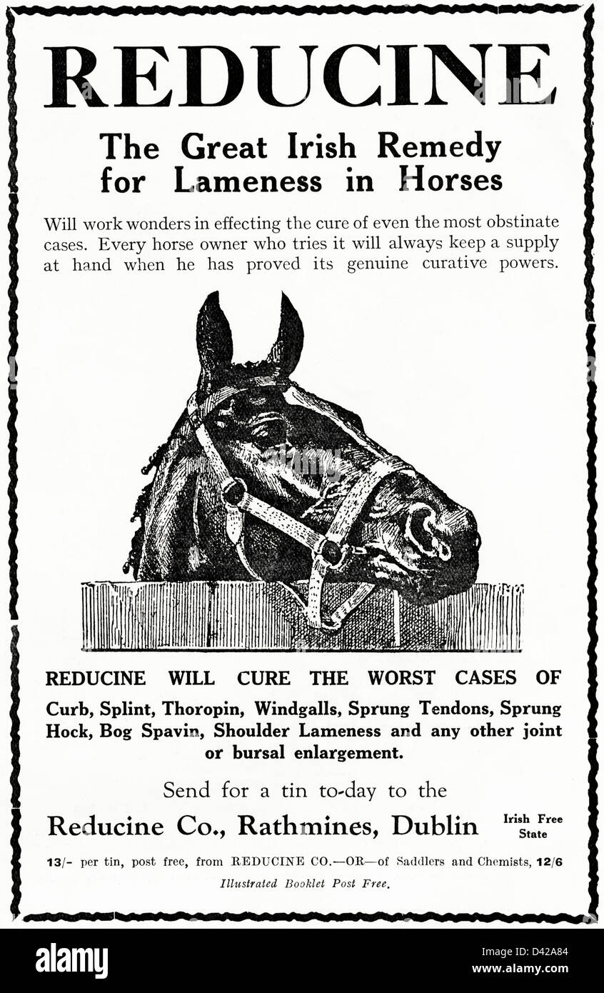Original 1920s vintage print advertisement from English country gentleman's newspaper advertising Irish remedy for lameness in horses by Reducine Co of Rathmines Dublin Irish Free State Stock Photo
