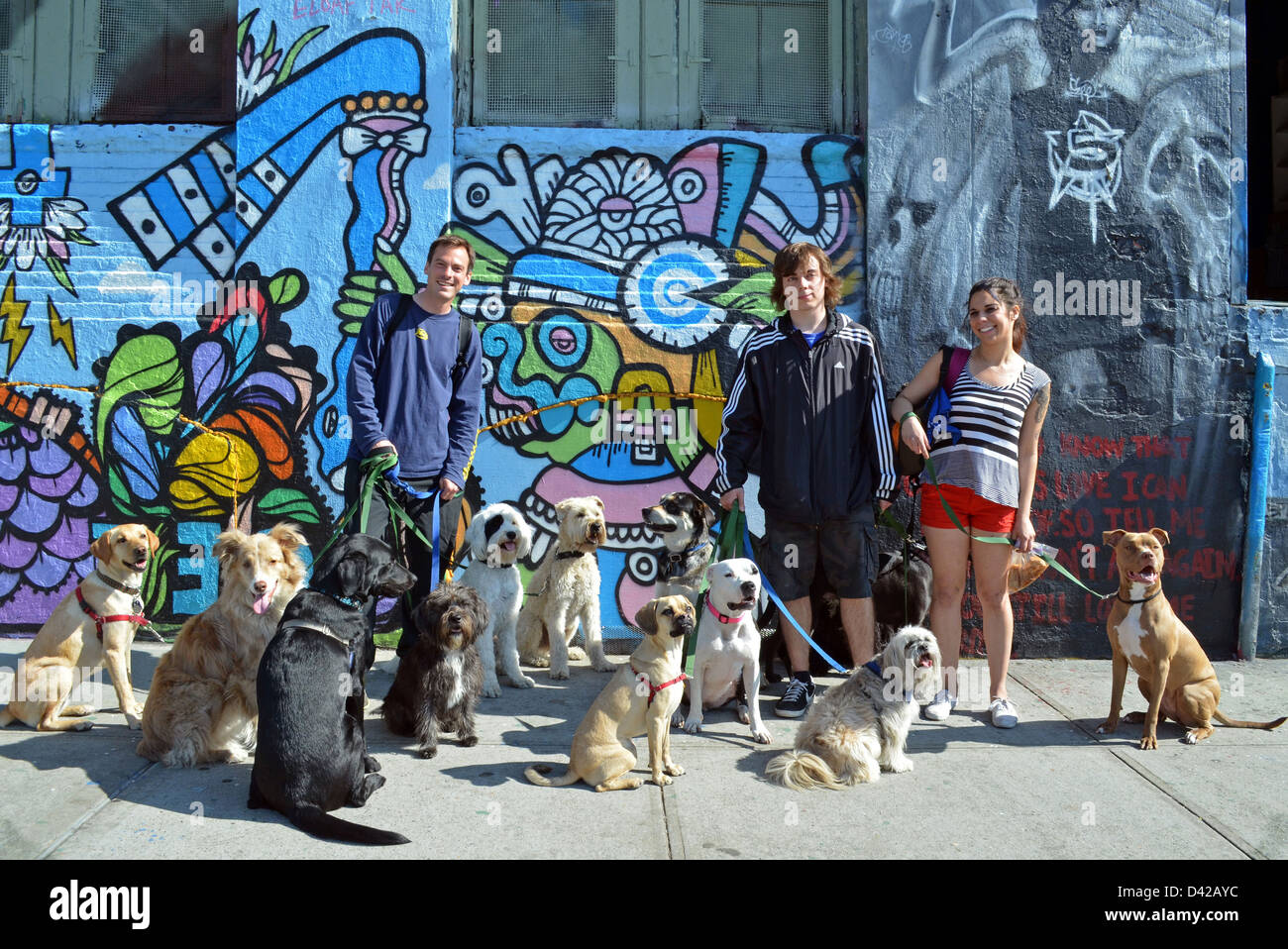 Graffiti Of Dog Stock Photos & Graffiti Of Dog Stock Images Alamy