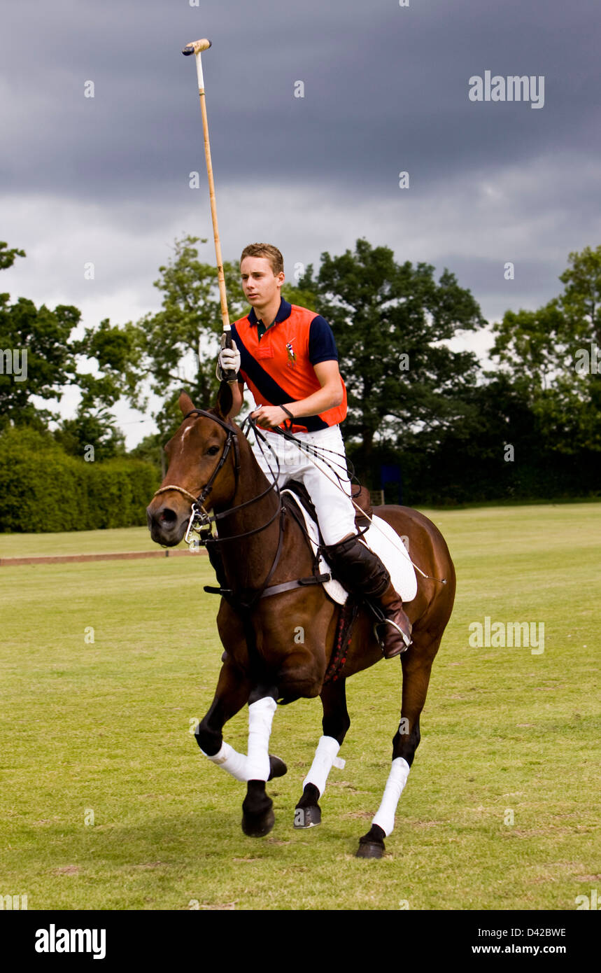Polo player holding mallet on horseback Stock Photo Alamy