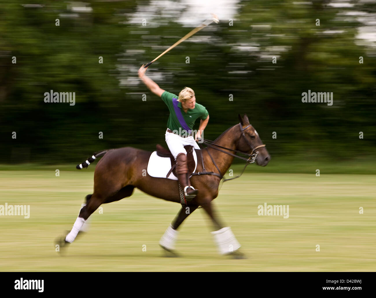 Stirrups hires stock photography and images Alamy