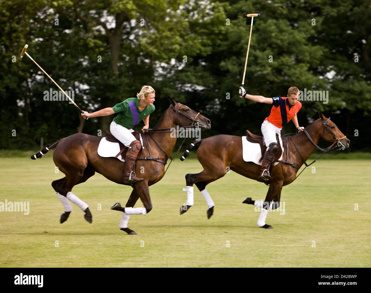 Polo players on horseback in rivalry for the ball Stock Photo