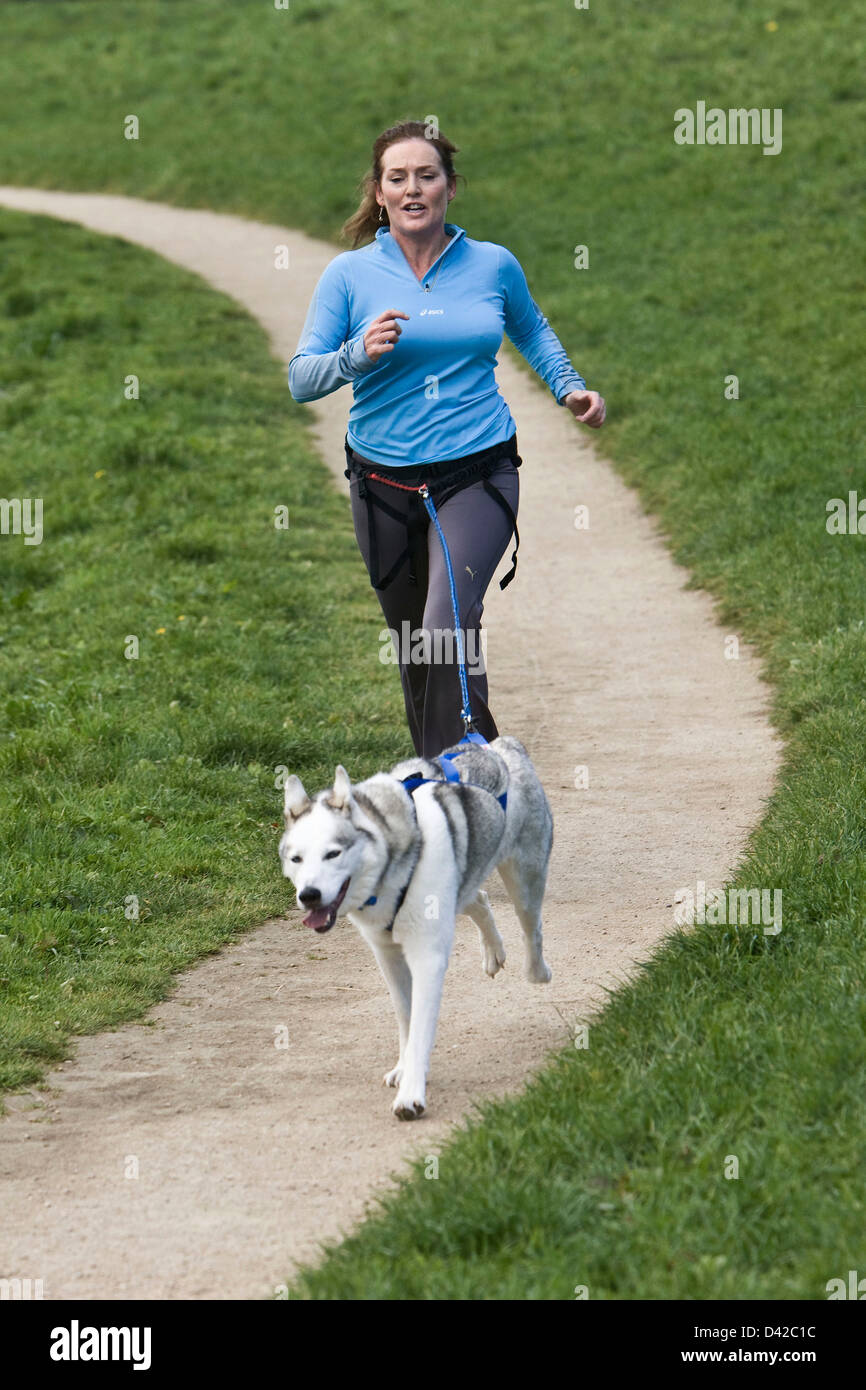 Female jogger exercising husky dog Stock Photo