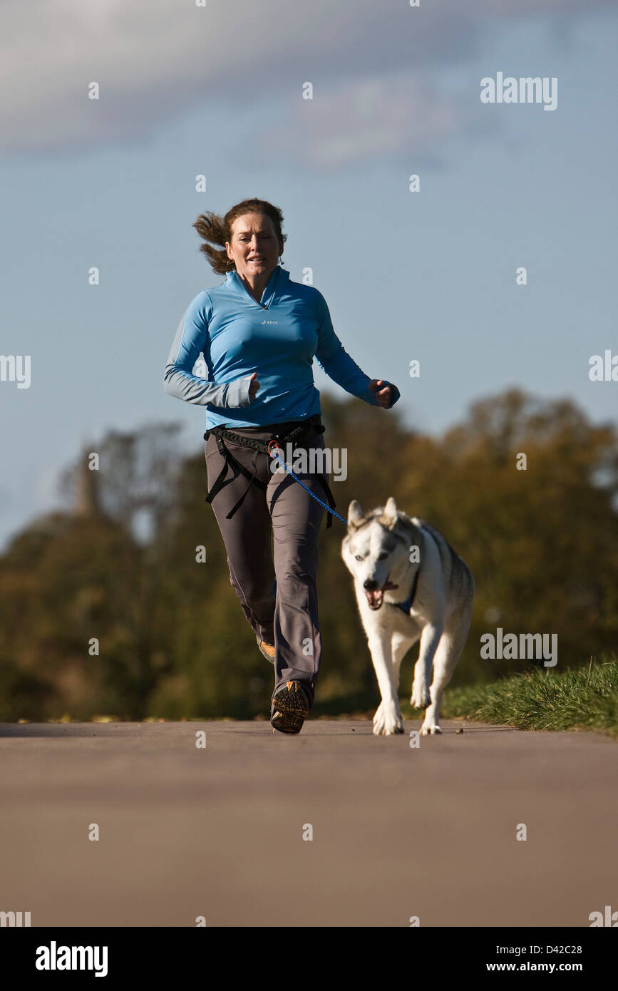 Female jogger exercising husky dog in park Stock Photo