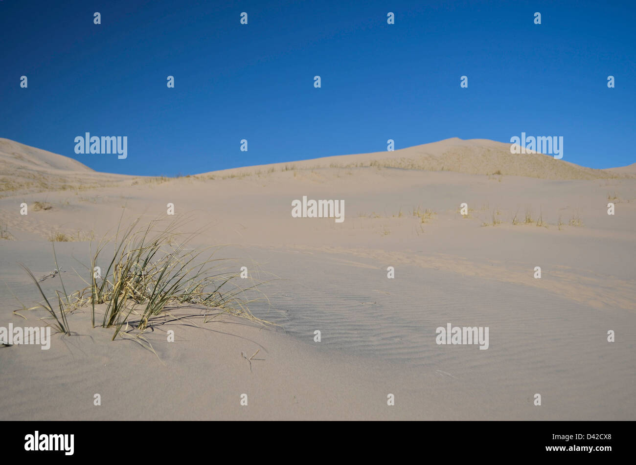 kelso dunes Stock Photo