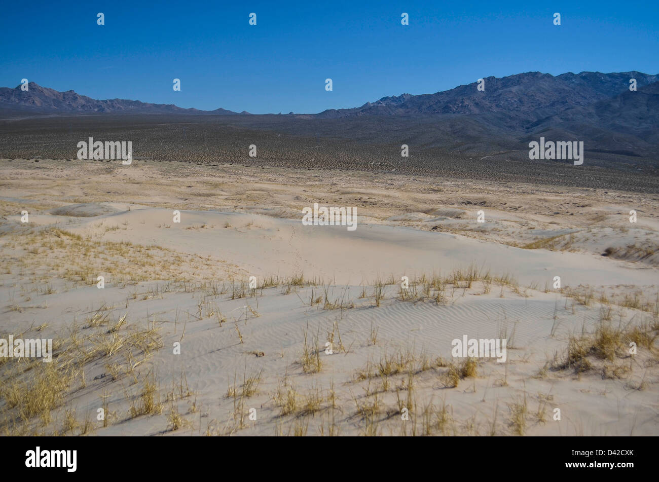 kelso dunes Stock Photo