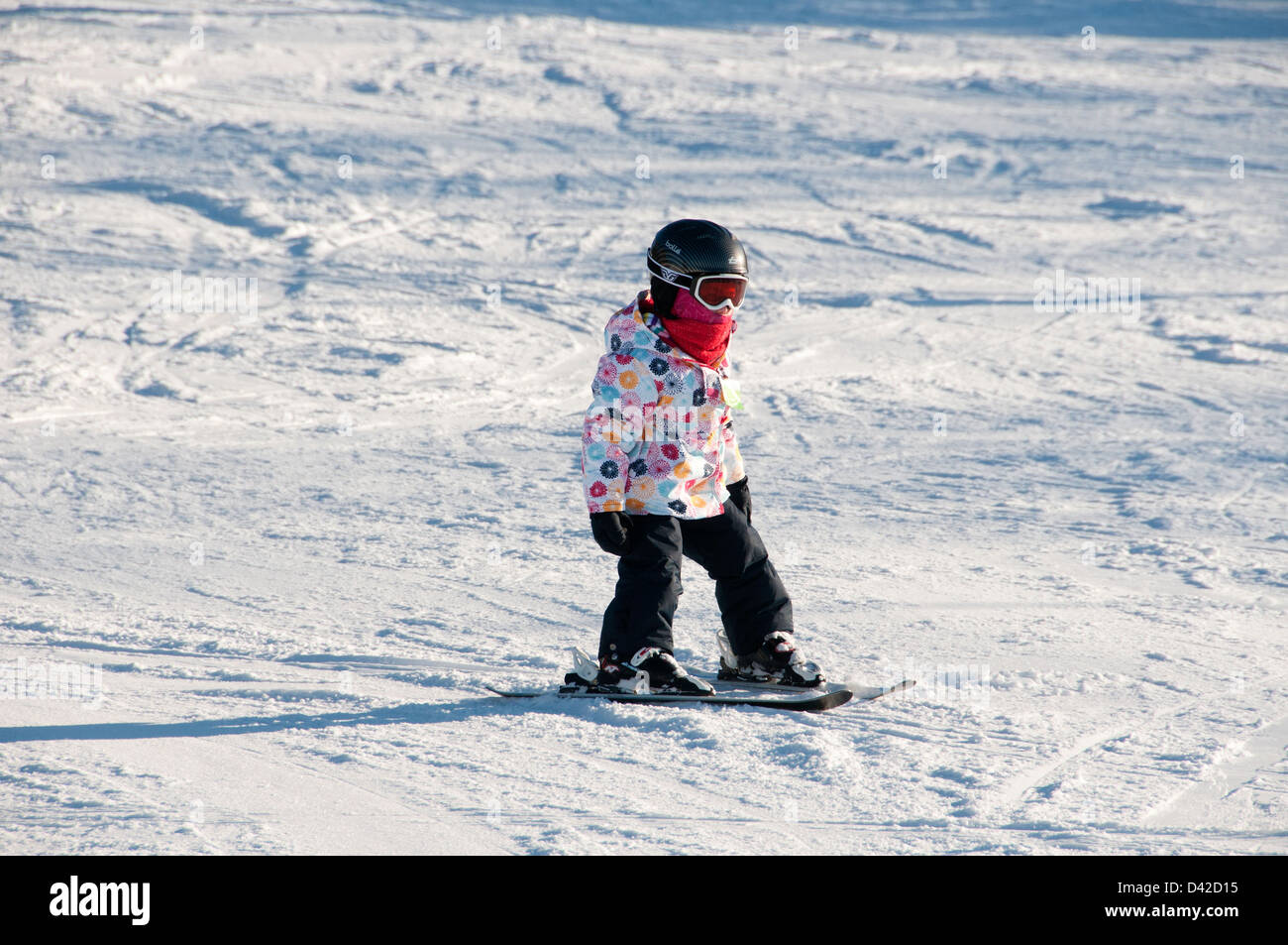 Child snowboarding Mont Saint Bruno ski Station Quebec Stock Photo