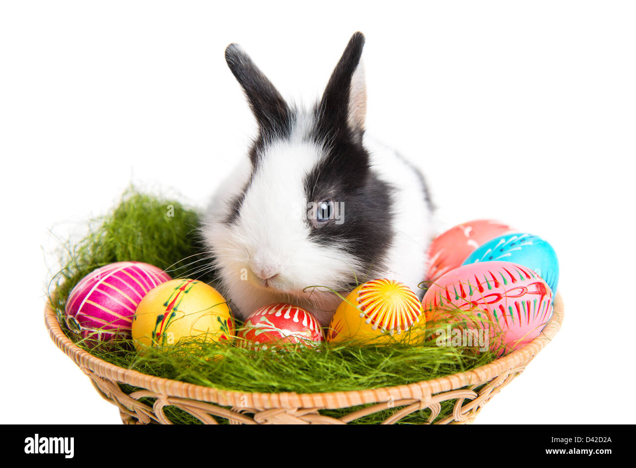 Easter greeting card - Eeaster bunny, grass and eggs in nest, isolated on white background Stock Photo