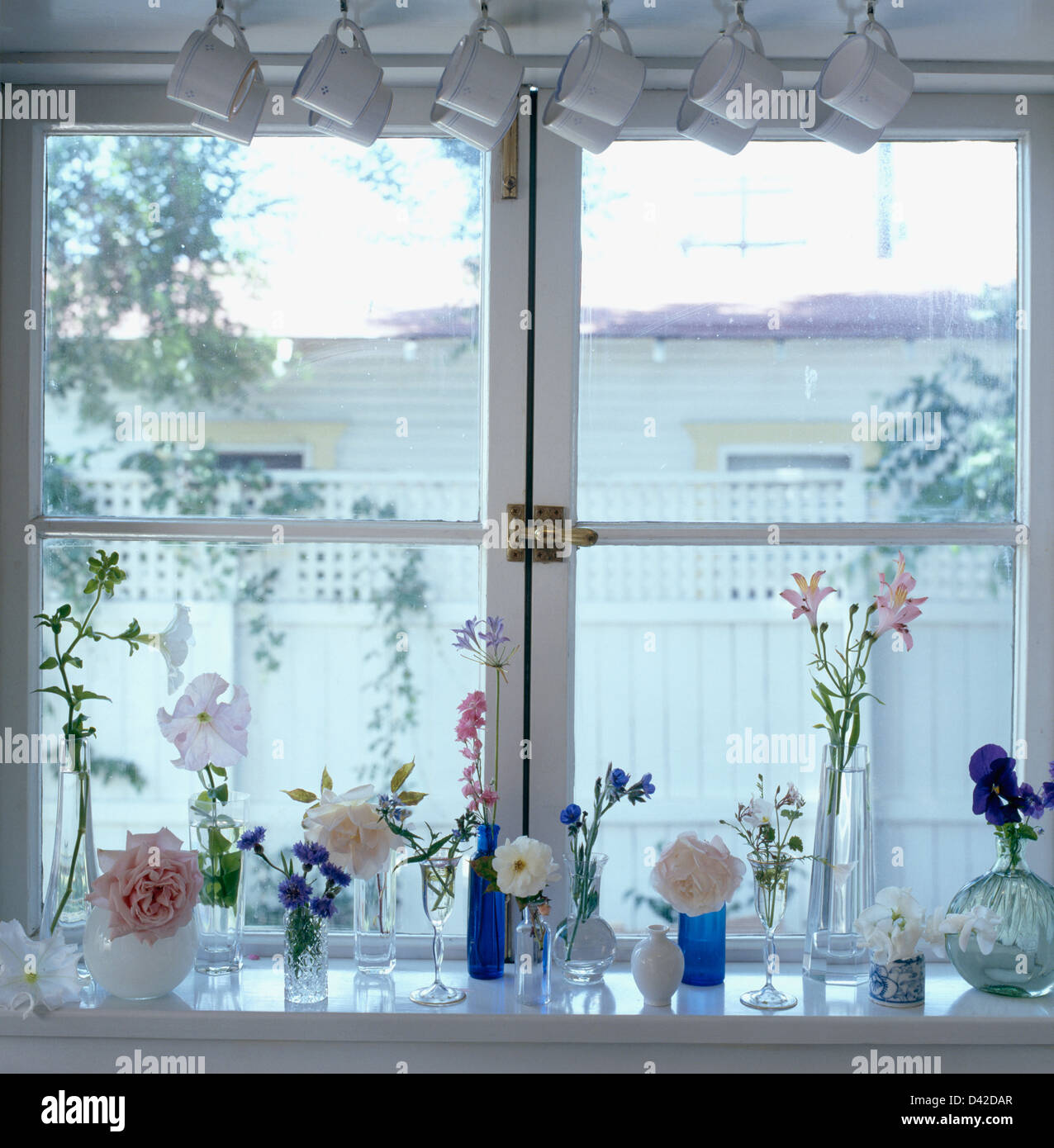Single roses and cornflowers in glass vases on window sill with white
