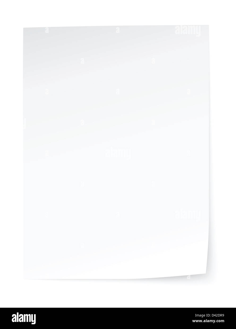blank sheet of paper Stock Photo Alamy