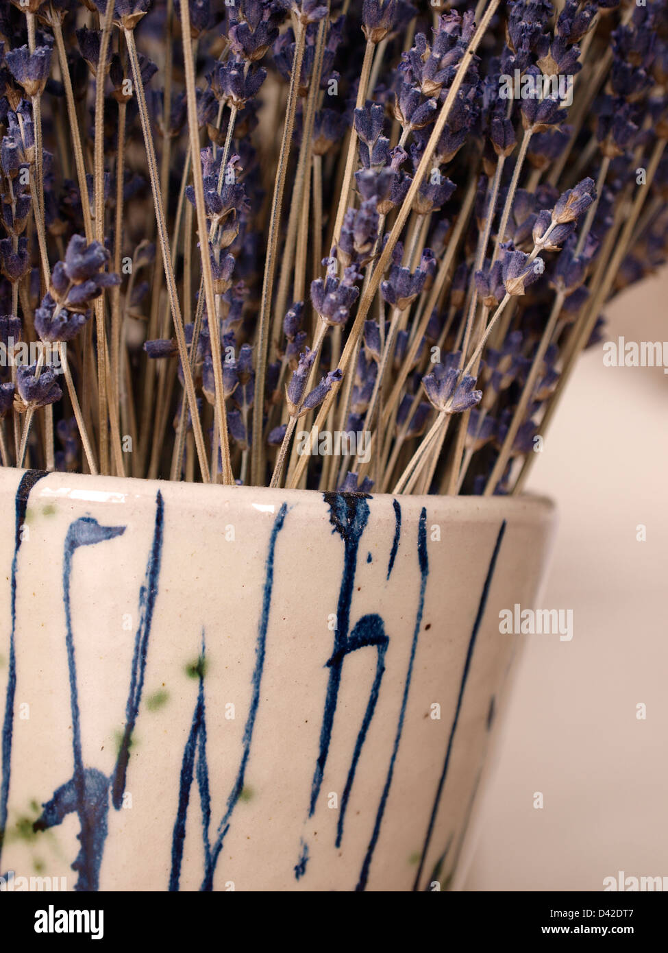 stalks of lavender in a vase Stock Photo Alamy