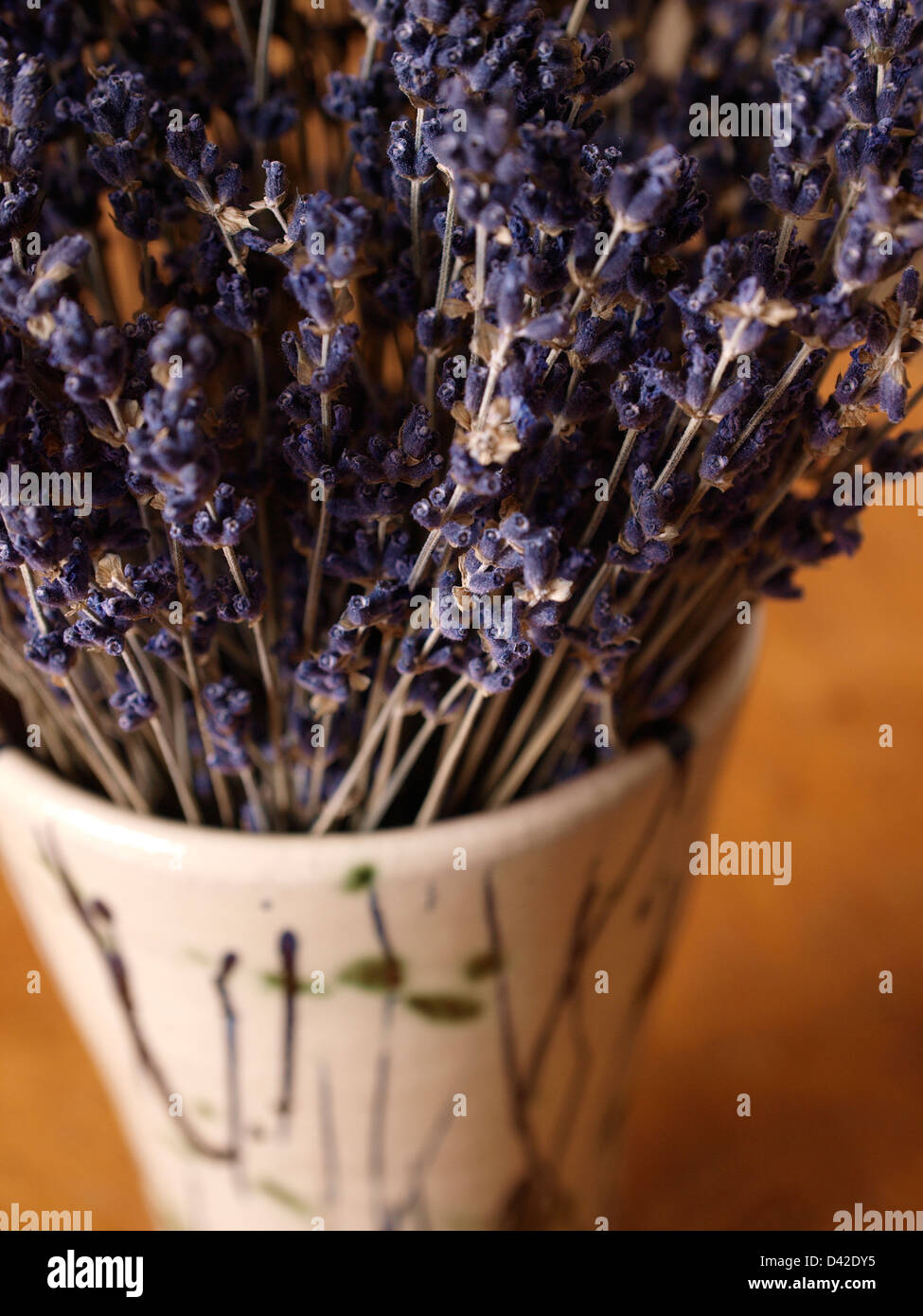 stalks of lavender in a vase Stock Photo Alamy