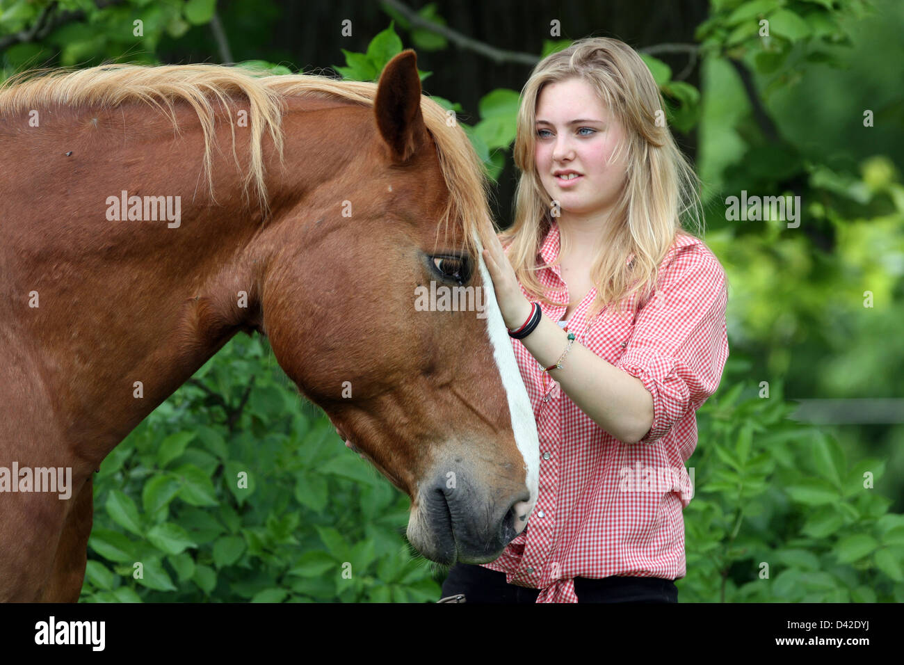 Muehlenbeck, Germany, girl strokes her horse Stock Photo