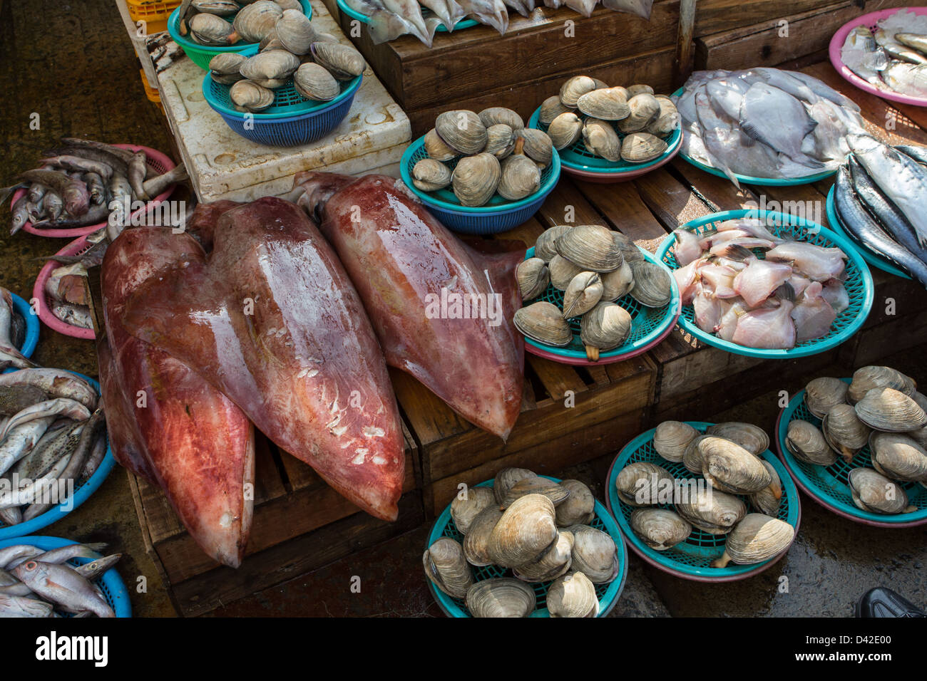 Fish, mussels, squid at Jagalchi fish market, Busan, South Korea Stock Photo