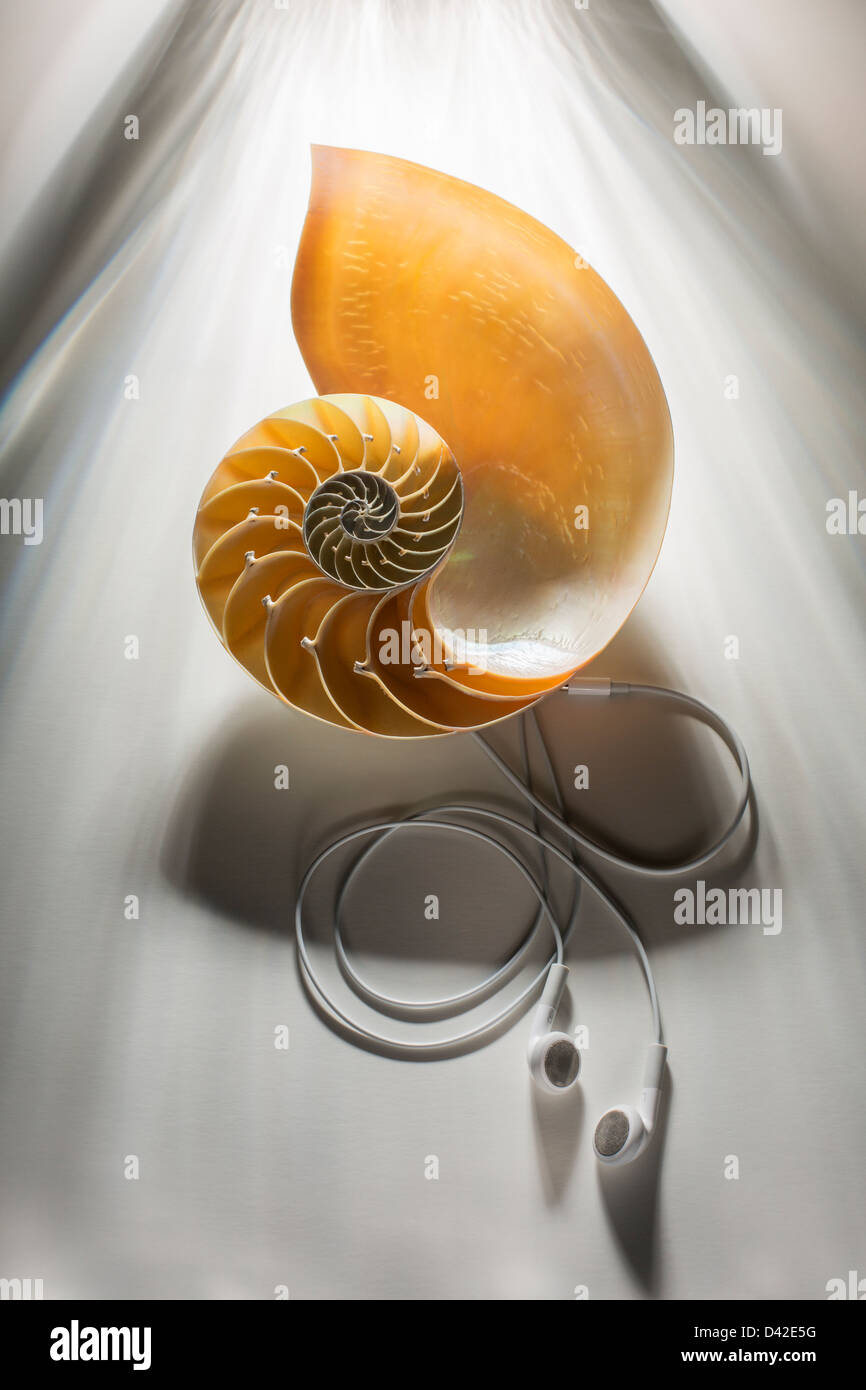 nautilus sea shell with ear buds Stock Photo