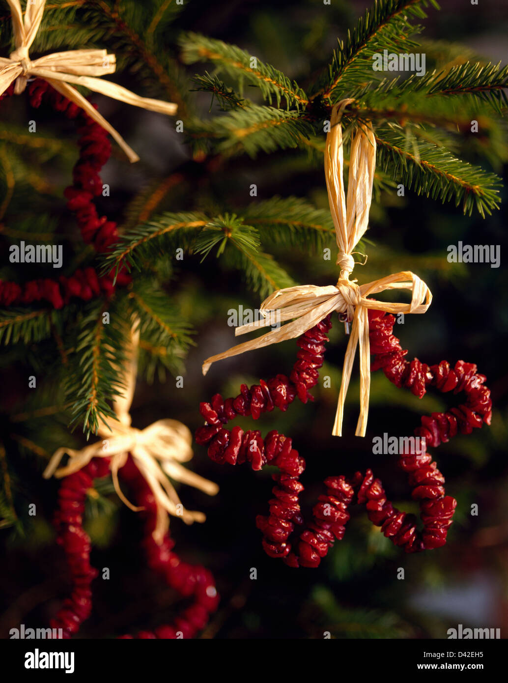 Close Up Of Home Made Dried Cranberry Christmas Star Decoration