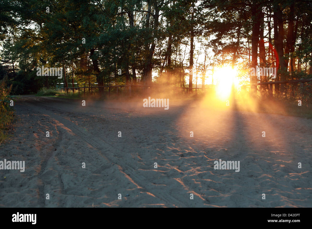 Raking evening light hires stock photography and images Alamy