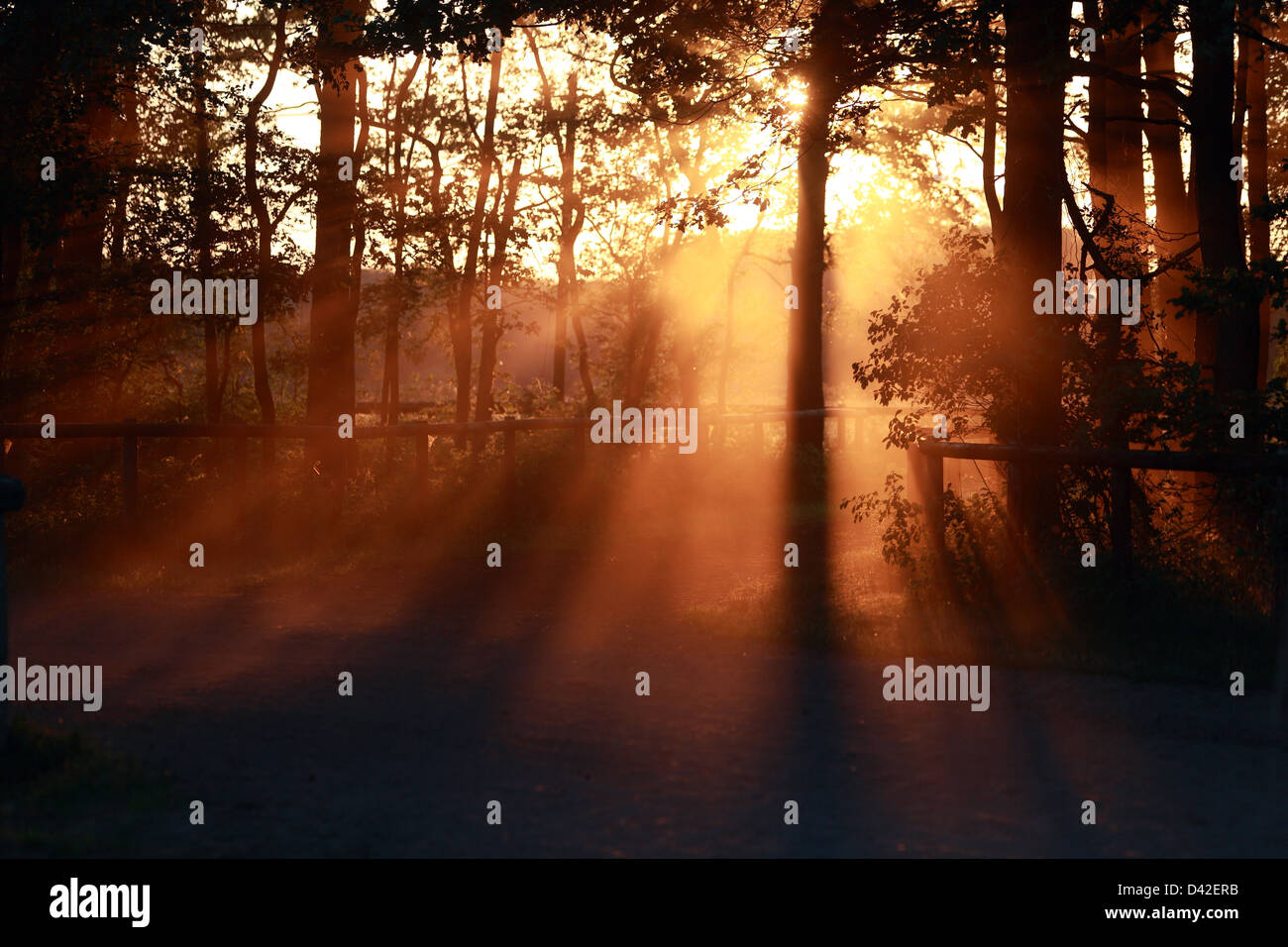 Raking evening light hires stock photography and images Alamy