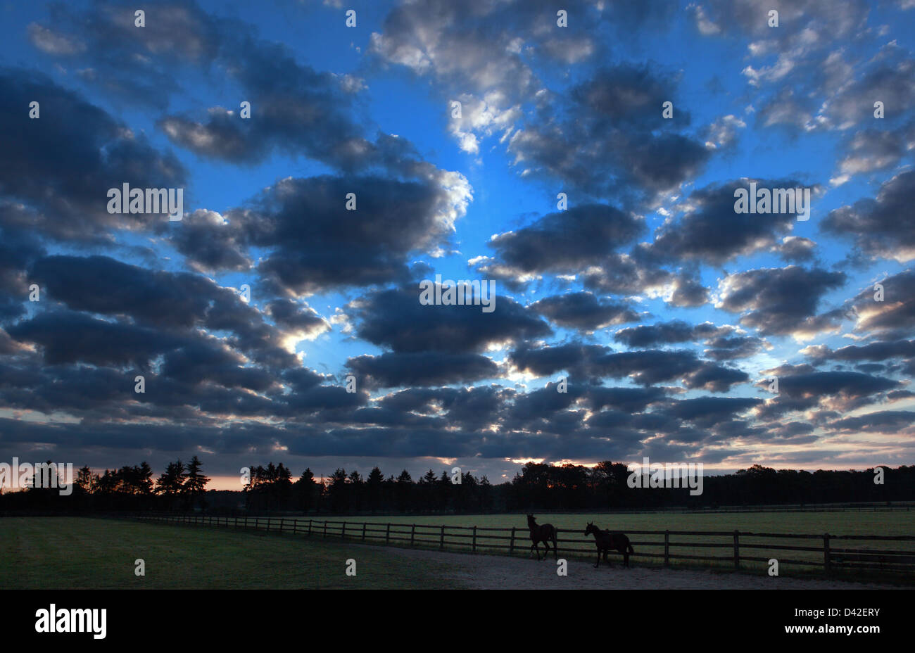 Gutersloh, Germany, cloudy sky in the evening Stock Photo