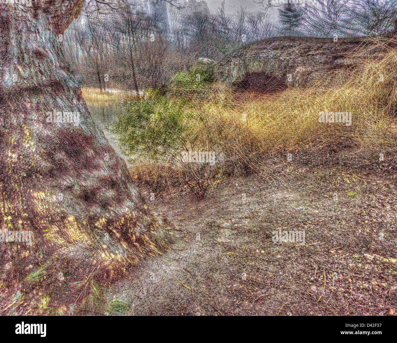 Central park new york city rain hi-res stock photography and images - Alamy